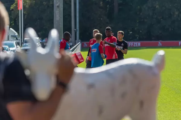 1. FC Köln Spieler und eine Hennes VIII Figur im unscharfen Vordergrund