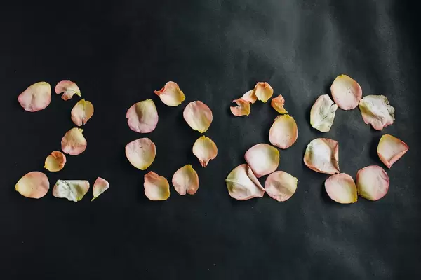 2020 new year. Written with rose petals on dark background.