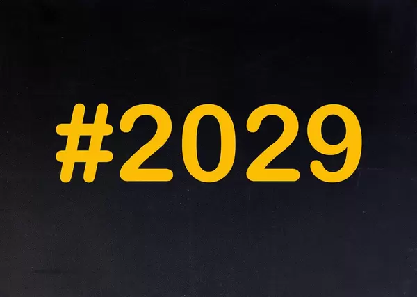 2029 written on chalkboard
