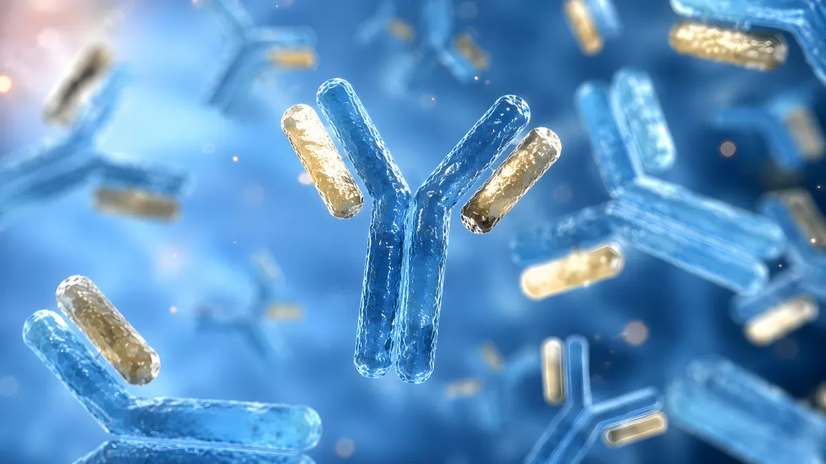 3D-Illustration von Antikörpern im menschlichen Immunsystem