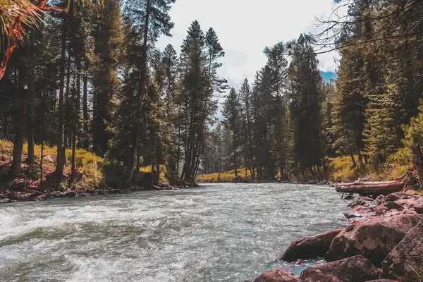 A Beautiful View of Kumrat   Flip 2019