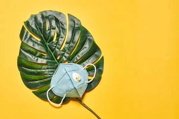 A big palm leaf and N95 protective face mask