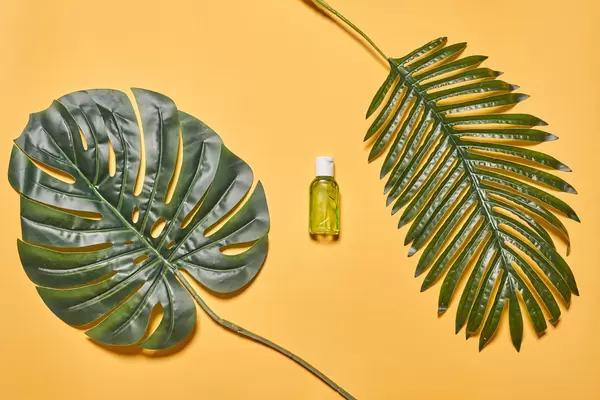 A bottle of hand sanitizer and two tropical palm leaves
