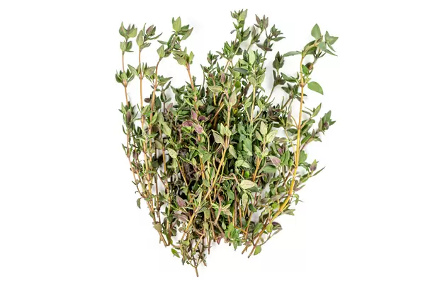 A bunch of fresh spiced thyme