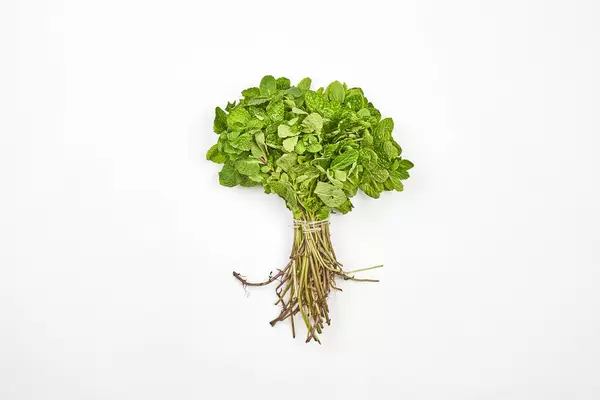 A bunch of mint tied with twine on white background