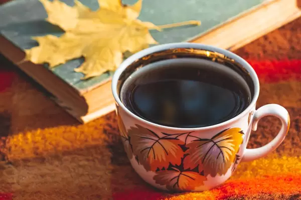 A Cup of tea with a book and a yellow maple leaf on a red plaid