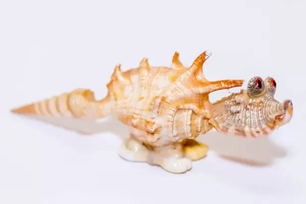 A dinosaur made of shells