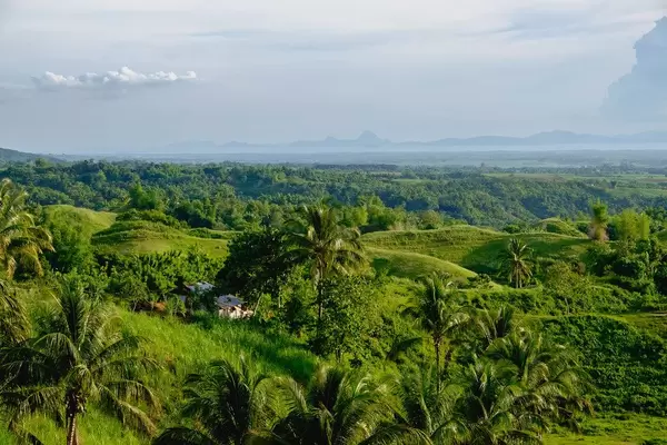 A farmhouse hidden across the fields of Silay (Flip 2019)