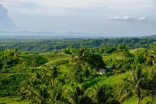 A farmhouse hidden across the fields of Silay
