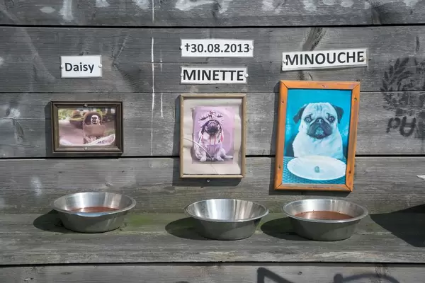 A feeding area for dogs outside a fun Mopse Bar in Berlin, Germany
