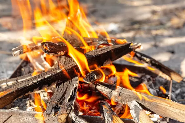 A fire burns with firewood