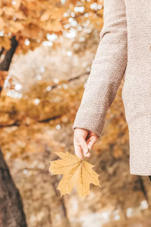 A girl holding an autumn maple leaf in her hand