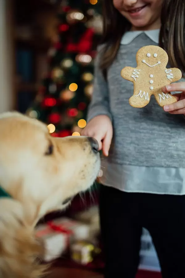 A girl with a Christmas cookie and a dog  Flip 2019