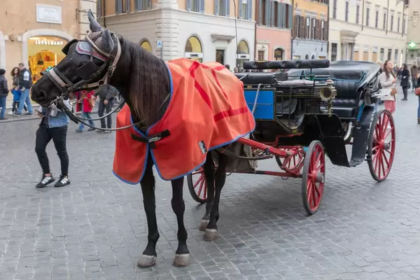 A horse pulling a carriage in Rome