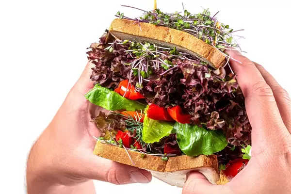A large vegetarian sandwich with micro greens in men's hands