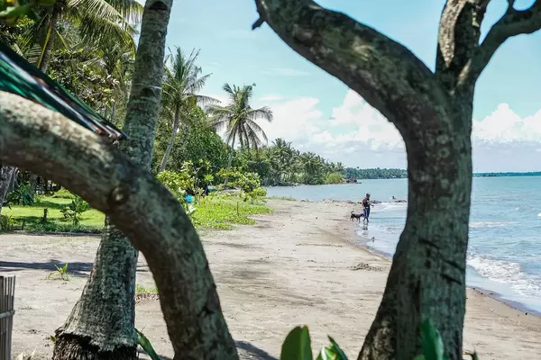A man and a dog walking on the shorelines in Hinigaran (Flip 2019)