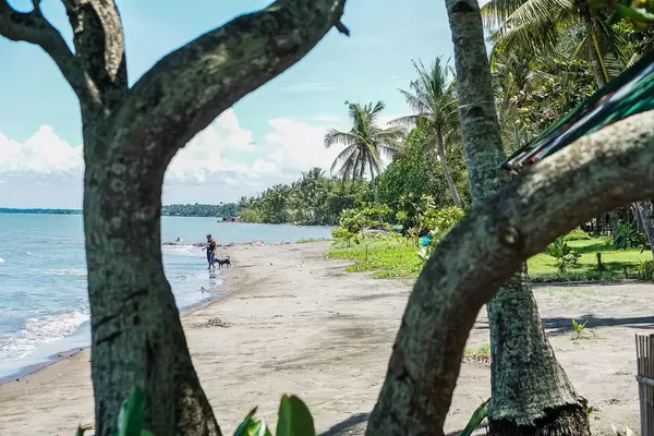 A man and a dog walking on the shorelines in Hinigaran