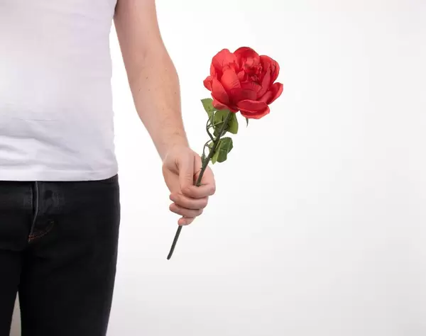 A man hand with red rose flower