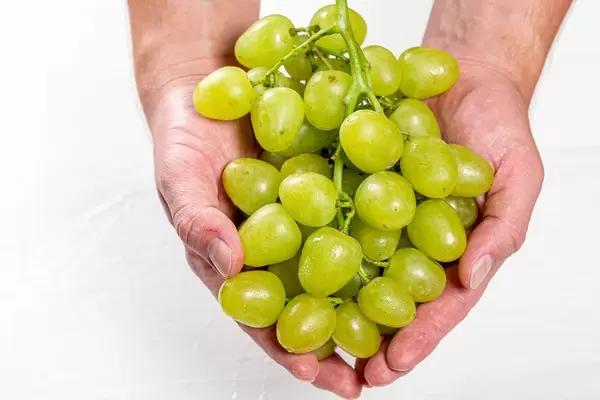 A man holding a bunch of grapes in his hands