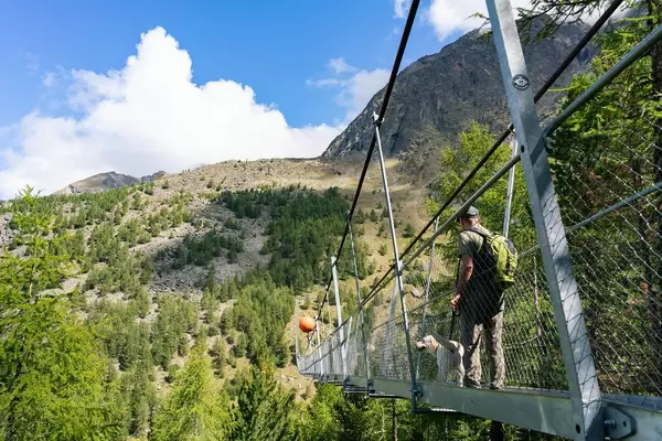 A man with a dog starting to cross 500 meters long pedestrian suspension bridge