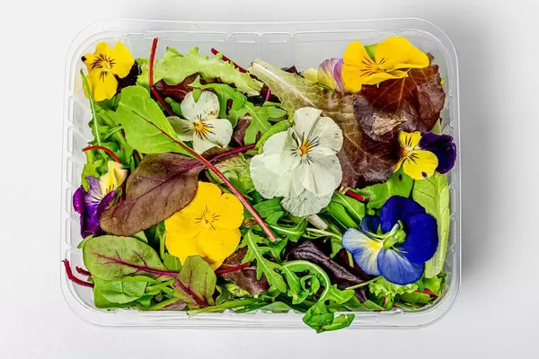 A mixture of different lettuce leaves and edible flowers (Flip 2019)