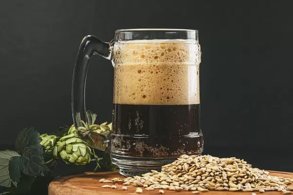 A mug of dark unfiltered beer with hops and barley