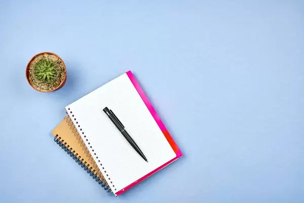 A notepad with pen and cactus plant