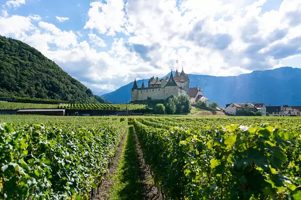 A path through vineyard in rural Switzerland leading to medieval castle with mountains in the background