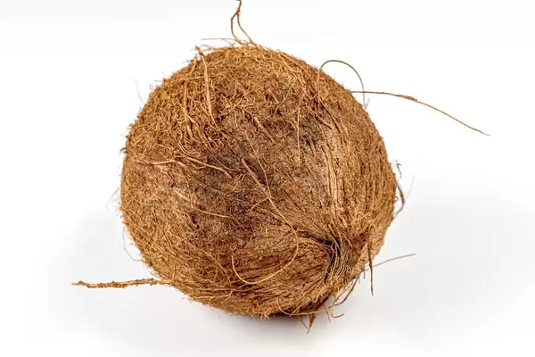A whole coconut on a white background (Flip 2020)