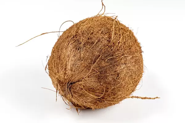 A whole coconut on a white background