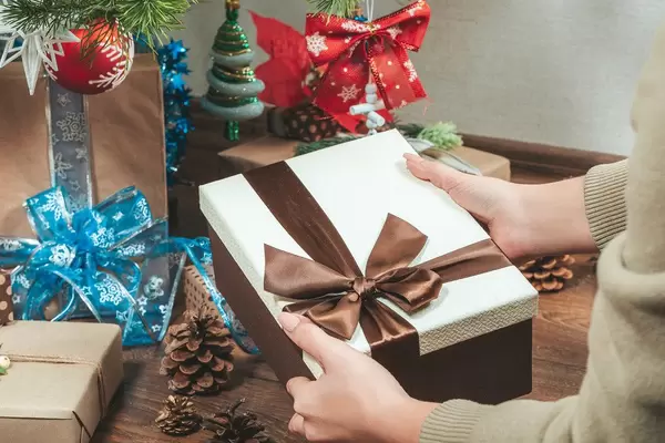 A woman holds a gift box under a Christmas tree (Flip 2019)