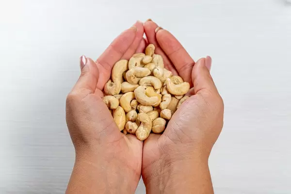 A woman holds dry not fried cashew nuts