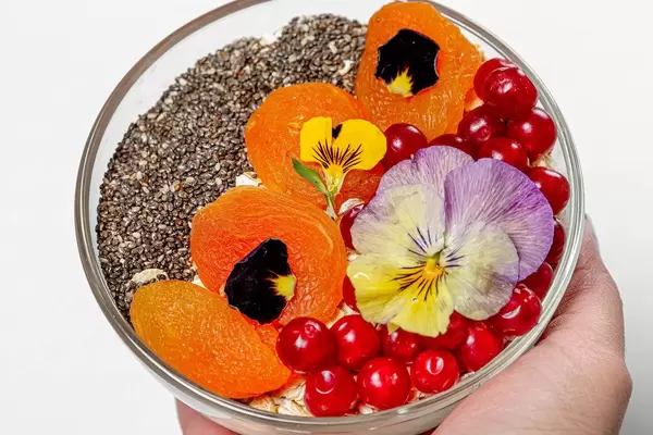 A woman's hand holds a bowl of oatmeal with cranberries, dried apricots, ?hia seeds and a flower (Flip 2019)