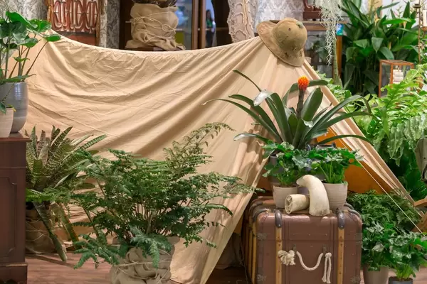 Abenteuer-Kulisse am Dalva-Messestand mit Zelt, Hut, Truhe und verschiedenen Pflanzen