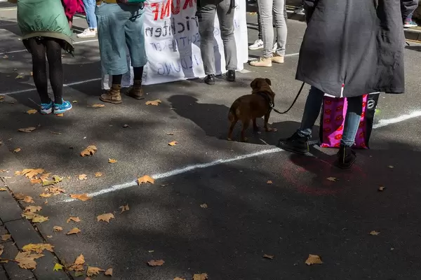 Abstand halten bei der Fridays for Future Demo in Corona-Zeiten mit markierten Stellen auf der Straße