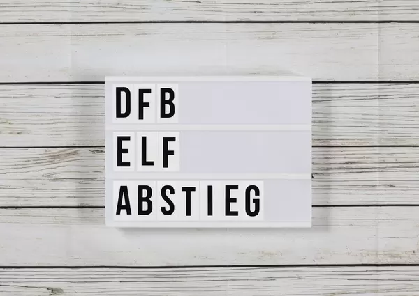 Abstieg der DFB-Elf:Die Nations League rettet Löw den Job