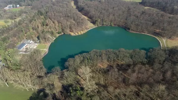 Adenauerweiher in Köln