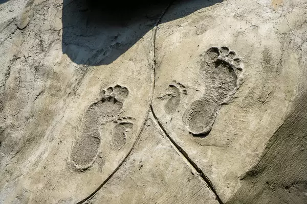 Adult and Children Footprints with Sole and Toes imprinted in a Rock with Sunlight shining on it