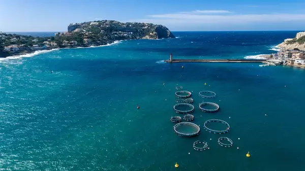 Aerial photo of fish farms in Puerto de Andraitx, Mallorca