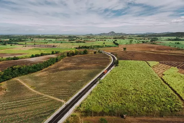Aerial photo of sugarcane fields in Sagay