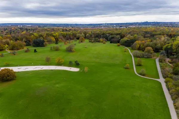 Aerial picture shows forest in the city: deserted nature of the botanical garden in cologne during autumn