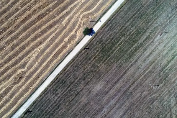 Aerial view of country road in Tuscany, Italy