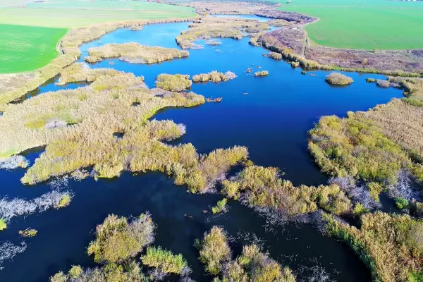 Aerial view of small delta, drone capture (Flip 2019)