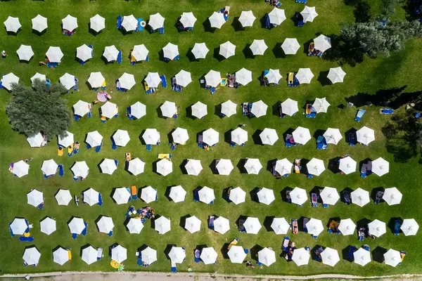 Aerial view of white parasols in several rows on a green meadow