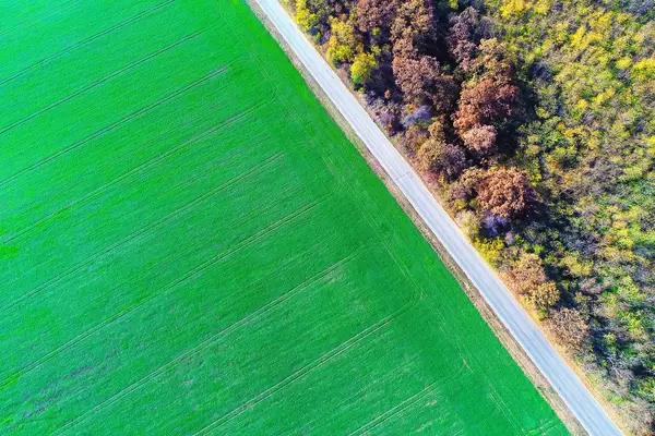 Aerial view over green field and empty road (Flip 2019)