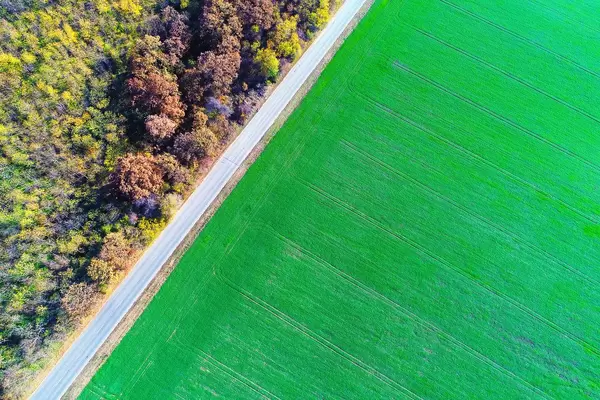 Aerial view over green field and empty road