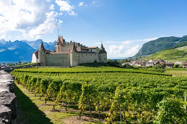 Aigle Castle in Swiss country with its own vineyards all around