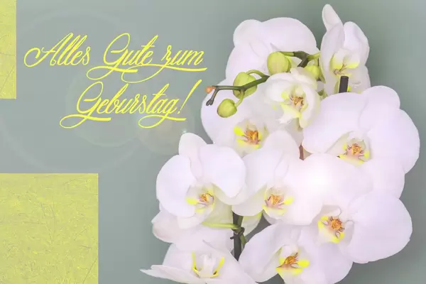 Alles Gute zum Geburtstag - Blumen und Geschenke
