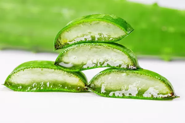Aloe sliced on a white background (Flip 2020)