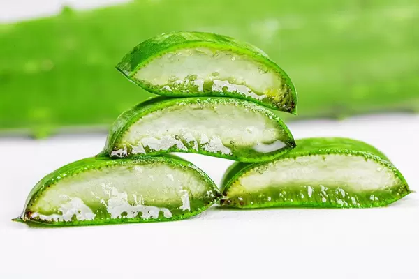 Aloe sliced on a white background